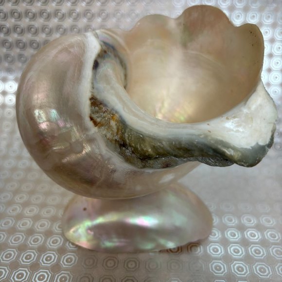VTG Hand Crafted Sea Shell Vase Turbo Marmoratus Iridescent OOAK - Picture 1 of 13